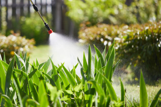 Tamper-Resistant Bait Stations for Rodents in Newport