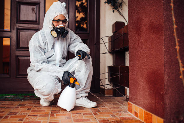Attic and Crawl Space Rodent Treatment in Newport