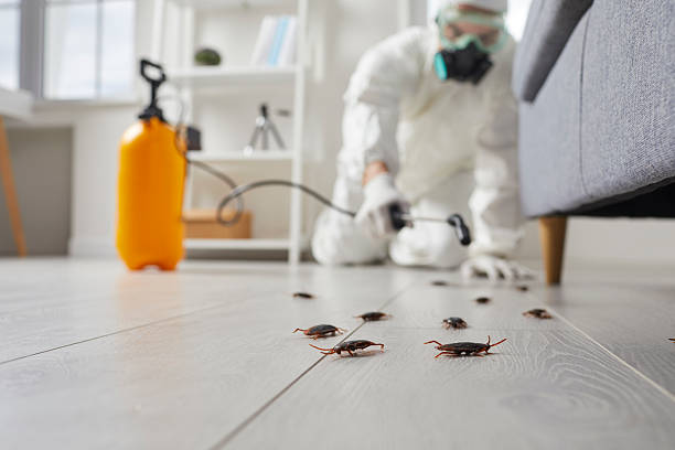 Commercial Rodent Management in Newport